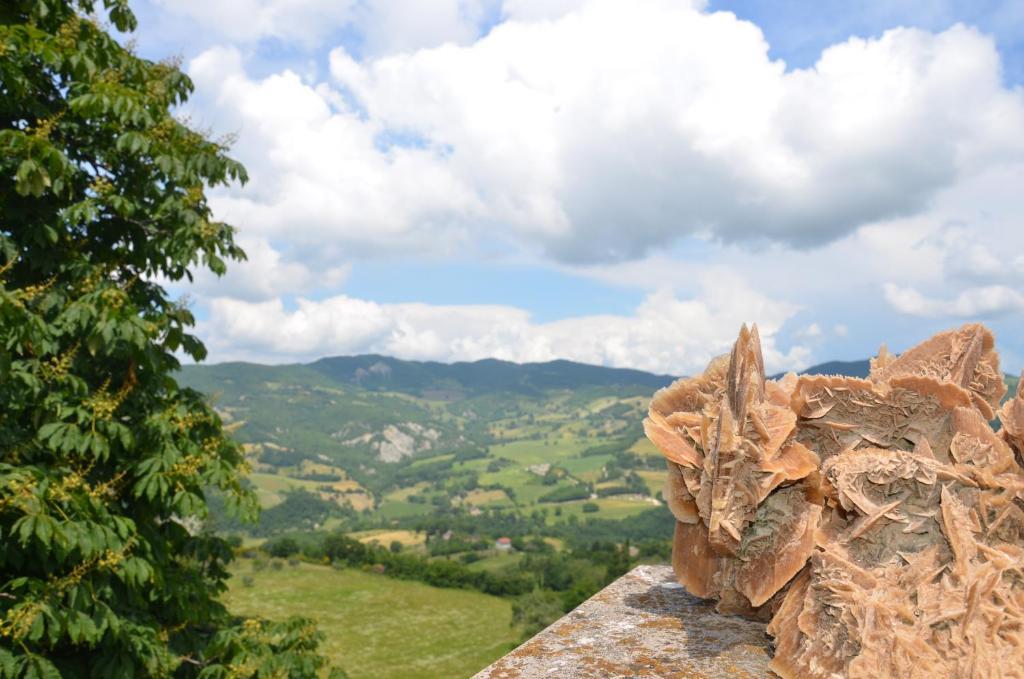 B&B La Terrazza Del Subasio Assisi Exterior photo